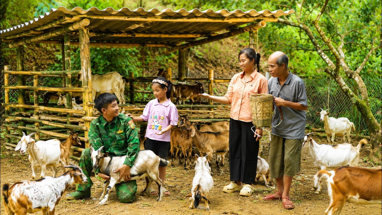 Mr. Tien's Surprise Visit and Heartwarming Gift While the Veteran & His Daughter Build a Goat Barn