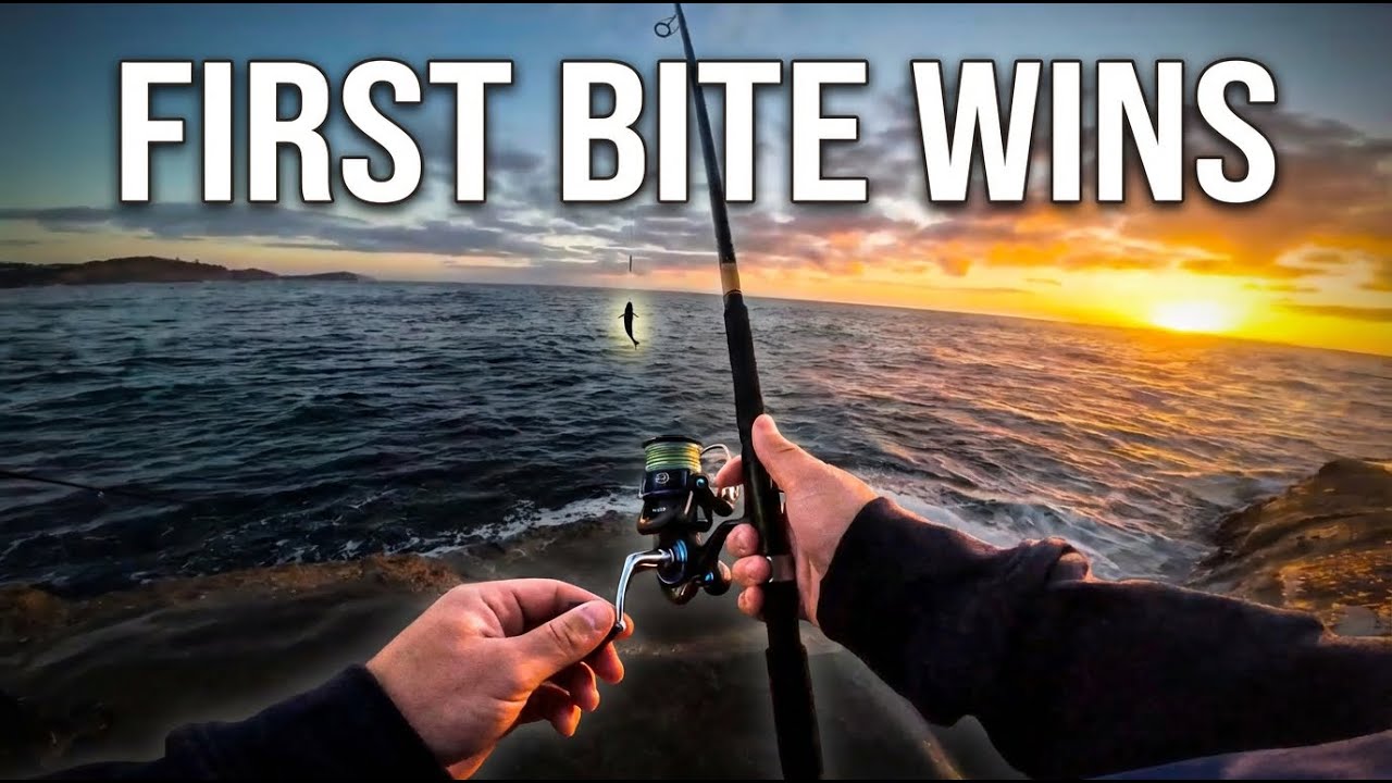 Why the FIRST Light Bite is the BEST Bite