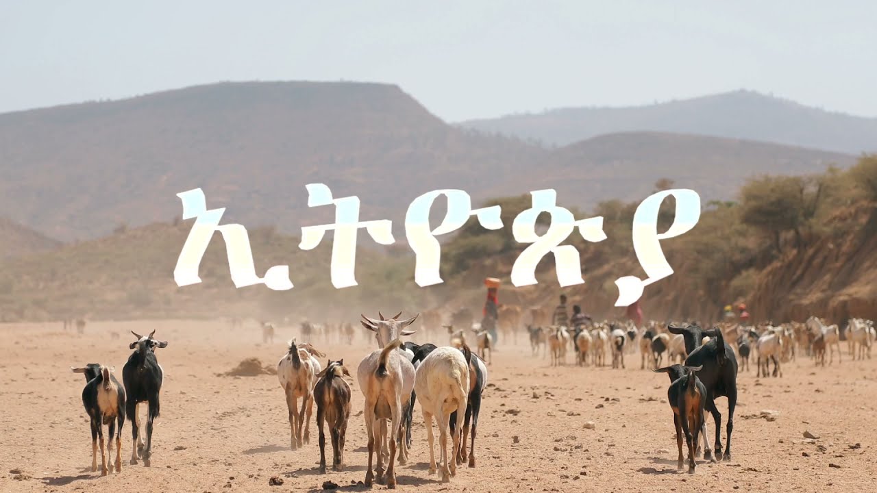 Make Perttilä - Etiopia