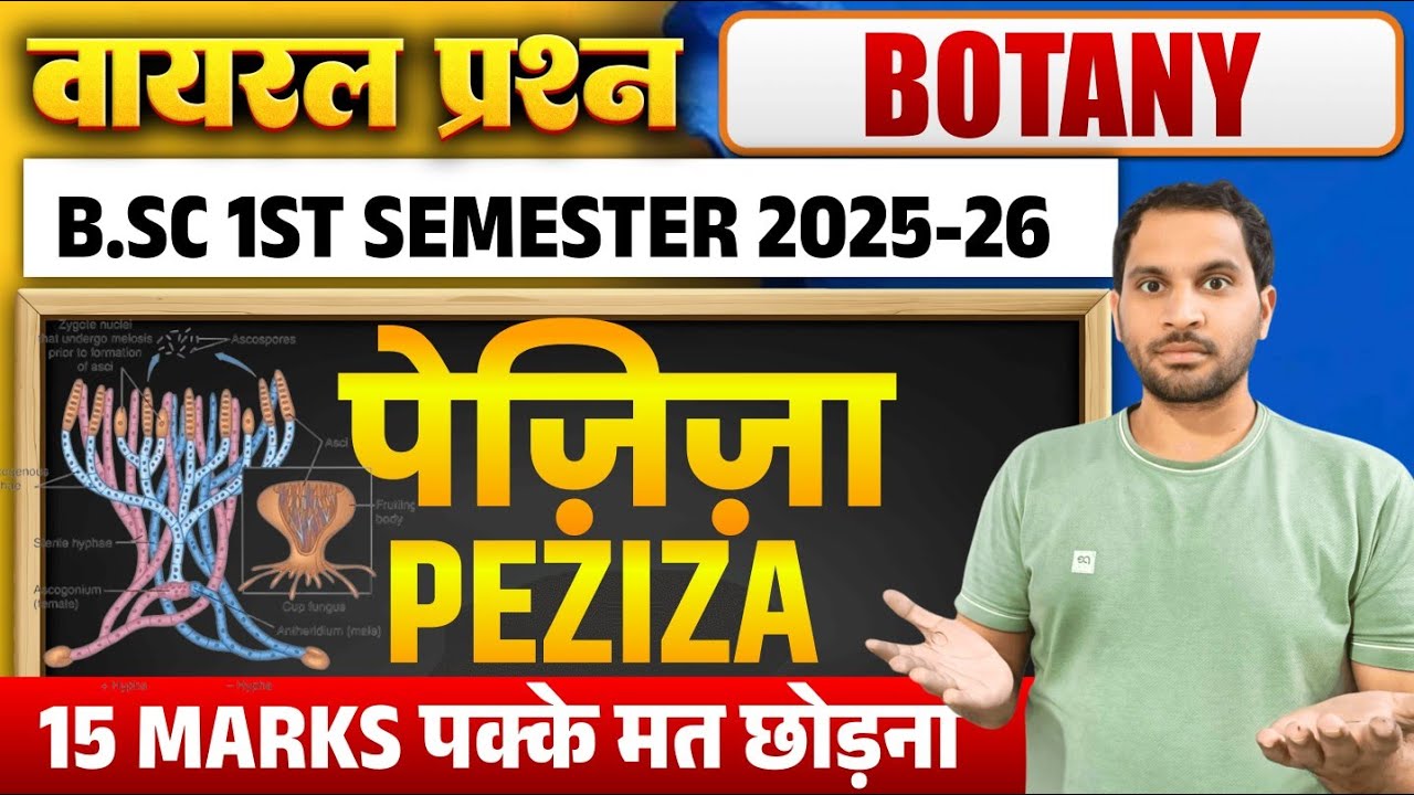 Peziza Fungi | Peziza Fungi Bsc 1st Year | Peziza Bsc 1st Semester Botany | Bsc 1st Sem Botany