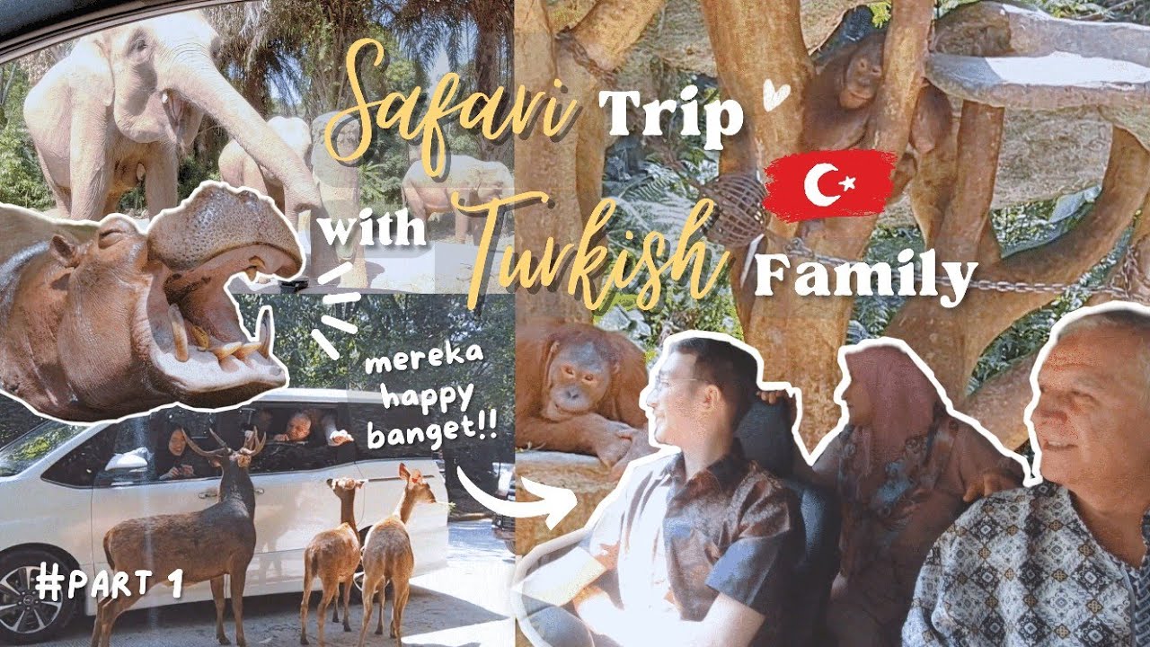 Reaksi Keluarga Turki Diajak ke Zoo di Indonesia😱‼️| Taman Safari Part 1 | Indonesia Turki Vlog 🇮🇩🇹🇷