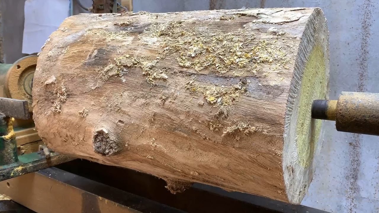 Forest Ideas // Special Plan for A Jackfruit Log - Legendary Yellow
