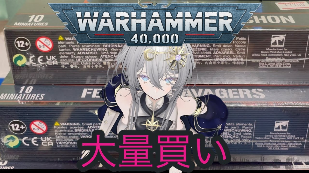 【ウォーハンマー】購入報告動画：対戦も少しあるよ