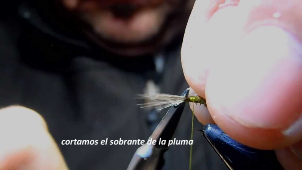 Montaje mosca seca  Subimago Baetis Rhodany Hackle 8. Fly Tying dry fly