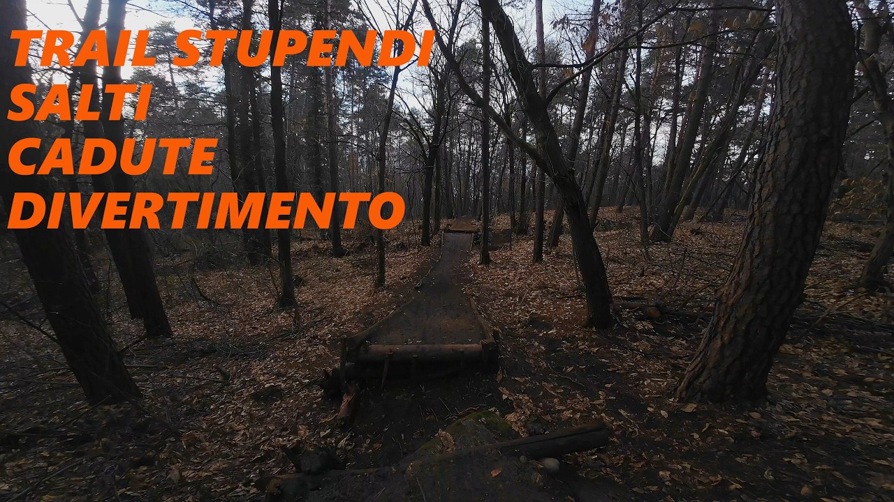 MTB VERGIATE - TRAIL SEGRETI  SALTI CADUTE E DIVERTIMENTO POV 4K