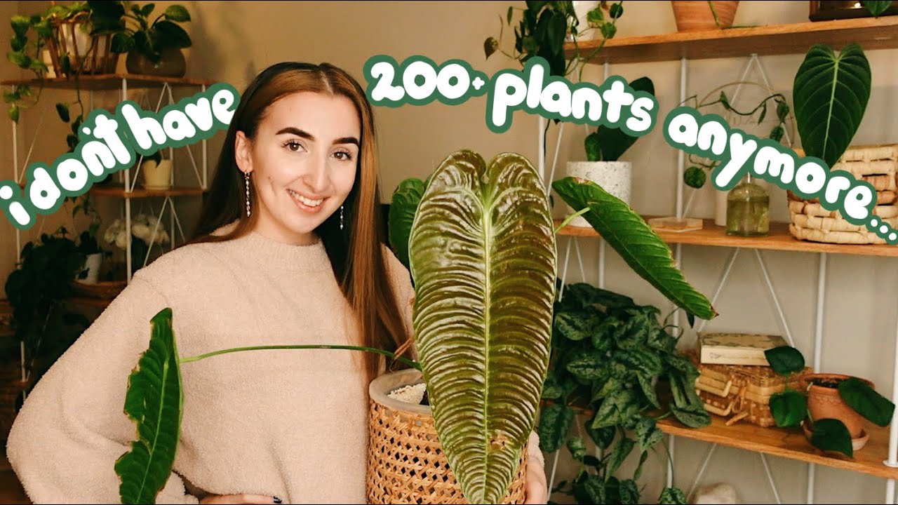 first house plant tour of 2022...