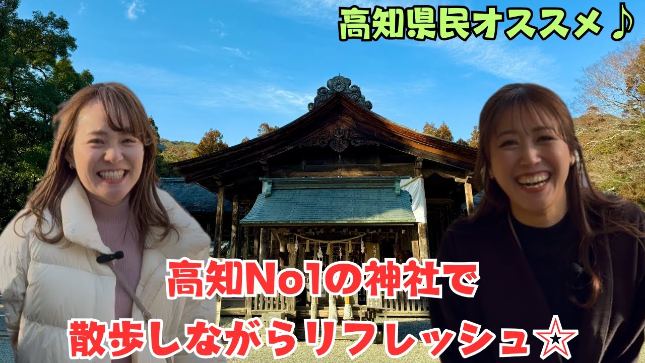 【土佐一ノ宮 土佐神社】一周5分のスッキリ爽快ツアー♪