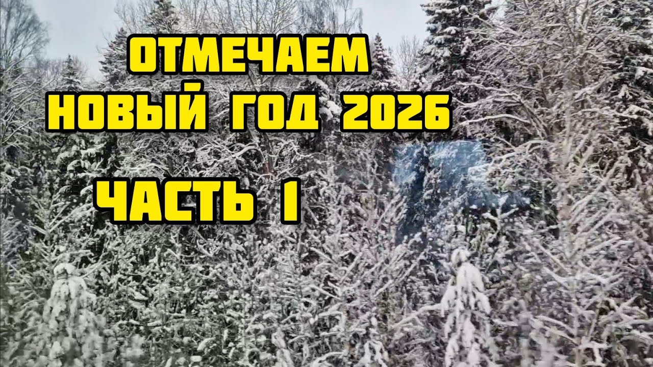 182. Новогодний влог. Вдвоем не скучно. В Москву на праздник