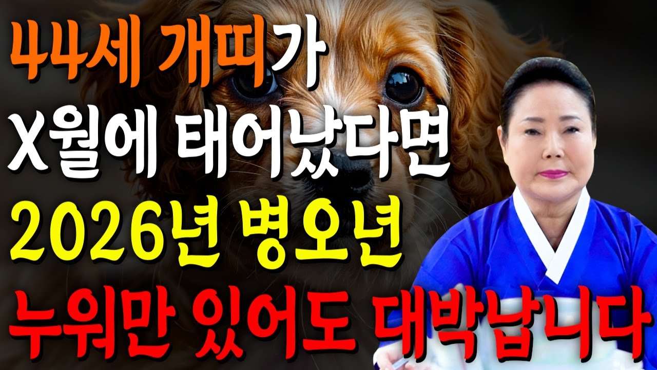 개띠 고생했다..!! 2026년 1982년생 44세 개띠운세 배신당했던 모든날을 보답받습니다! 병오년 82년생 개띠의 운명과 평생의 운세 / 2026년 병오년 44세 개띠 운세