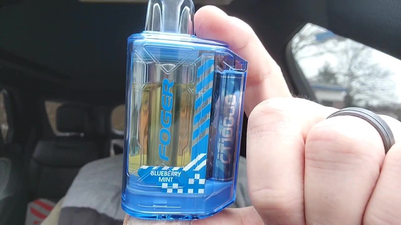 Foger CT10000 Blueberry Mint Review By @Disposabledad *21 & older *