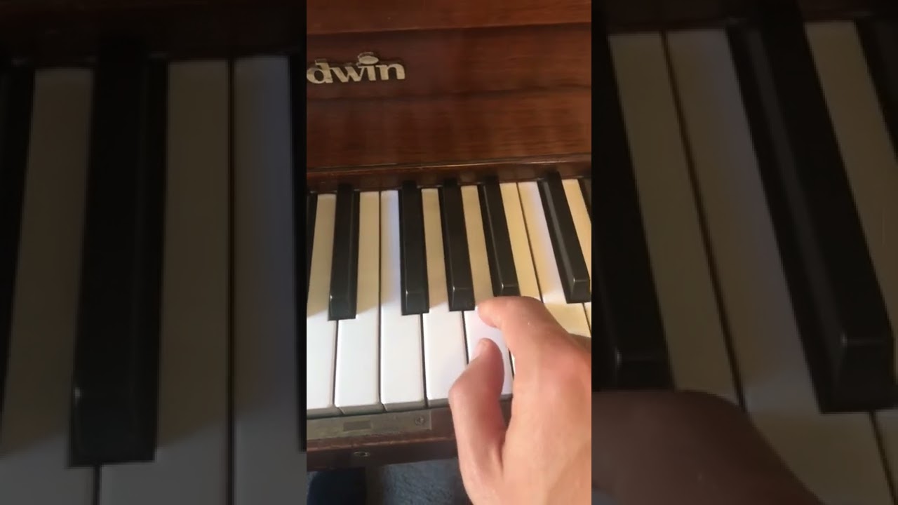 Sharps and Flats Explained Simply #pianolessons #musictheory