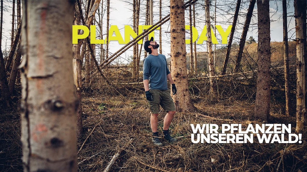 Wir pflanzen einen Wald