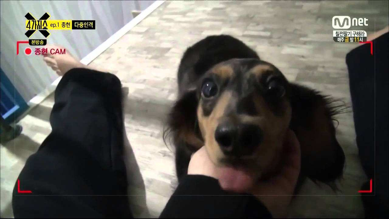 [150113] JONGHYUN x ROO 'SELFCAM'