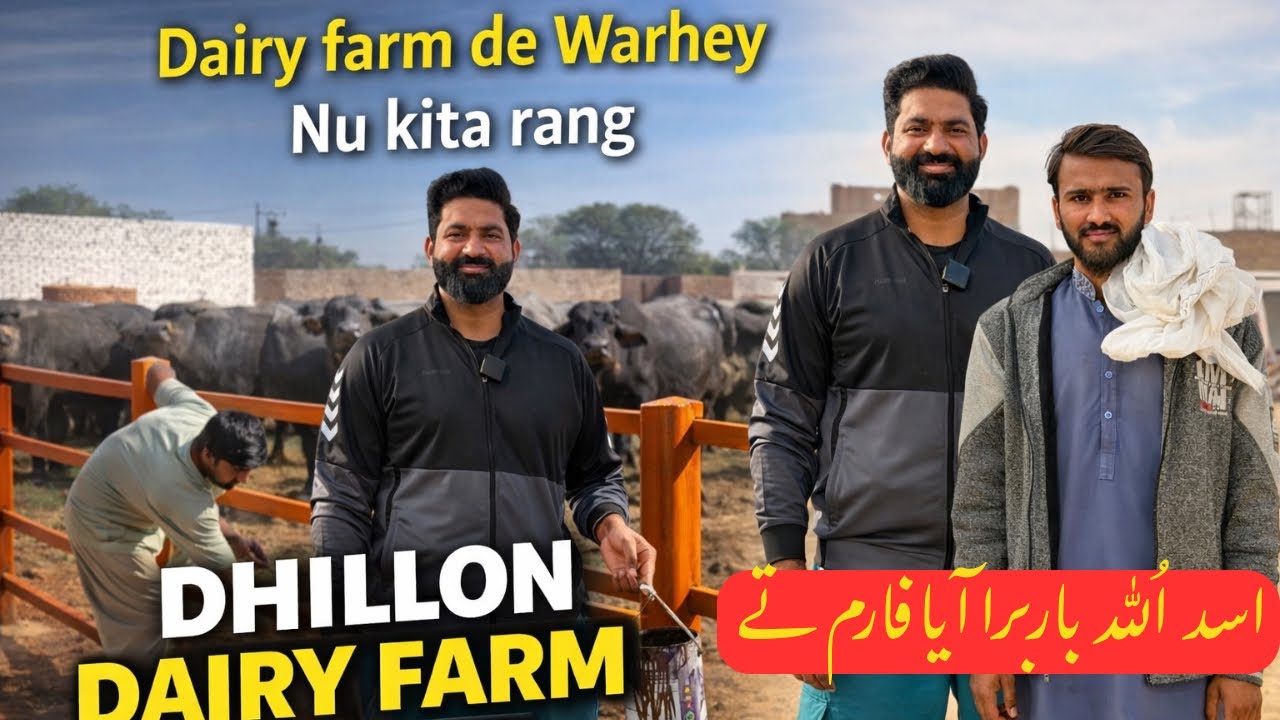 Dairy Farm Te Aaye Guests | Asad Ullah Barbra | Kita rang | Nasir Dhillon 