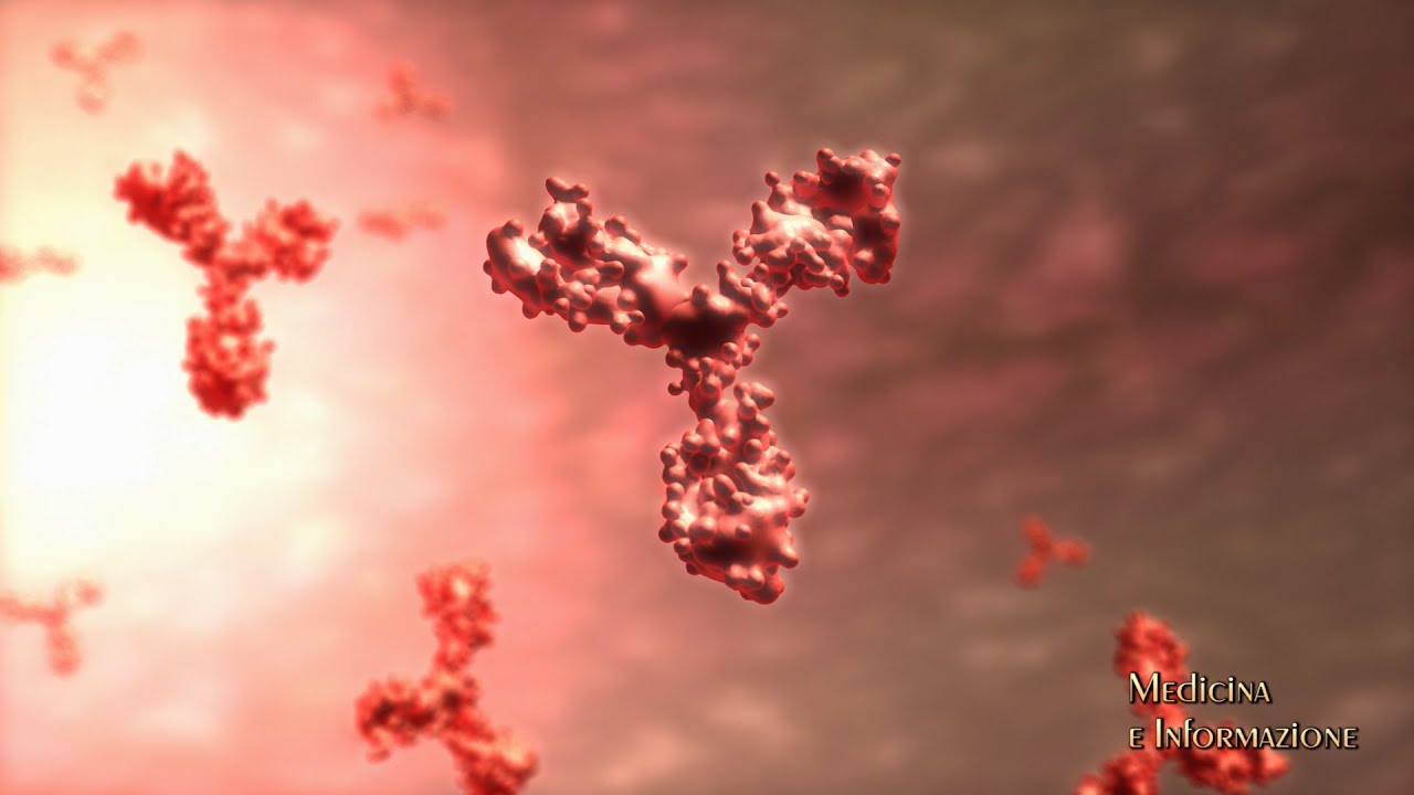 CAR-T,  la rivoluzione per i tumori del sangue - La terapia genica per leucemia, linfomi e mieloma