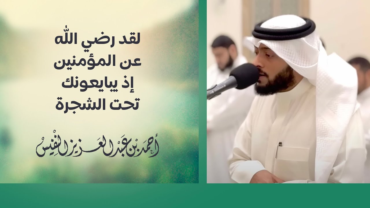لقد رضي الله عن المؤمنين إذ يبايعونك تحت الشجرة