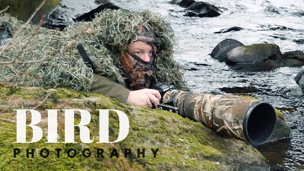 Most unbelievable moment in nature || BIRD PHOTOGRAPHY - dipper, camouflage, spring
