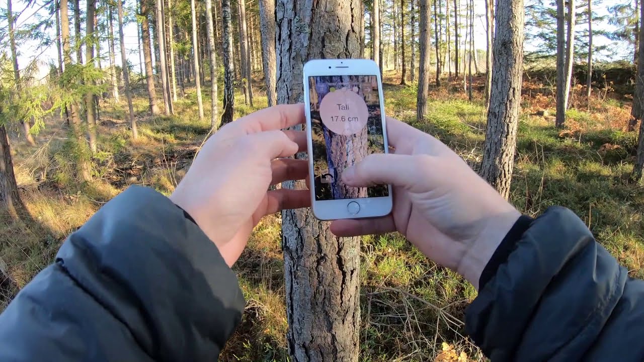 Skogsforum testar Arboreal App Skog