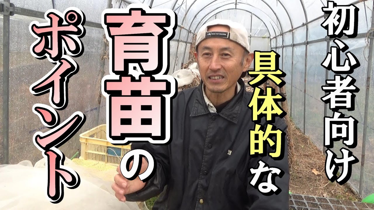 【育苗】初心者向け「育苗のコツ」2022年2月20日【natural farming】