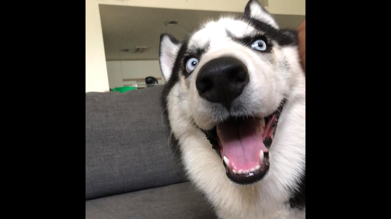 第三次機器人大戰alpha 過年懷舊一下