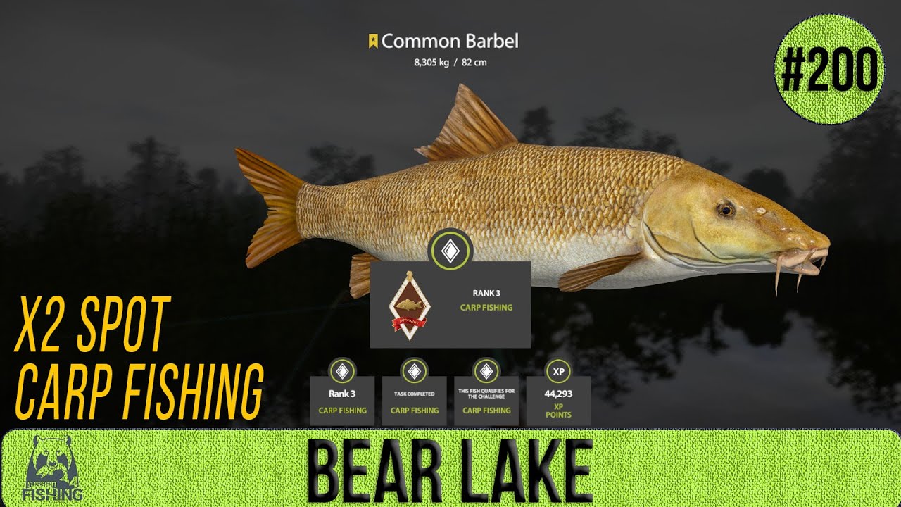 Russian Fishing 4 - Bear Lake - Carp Fishing x2 Spot - #200