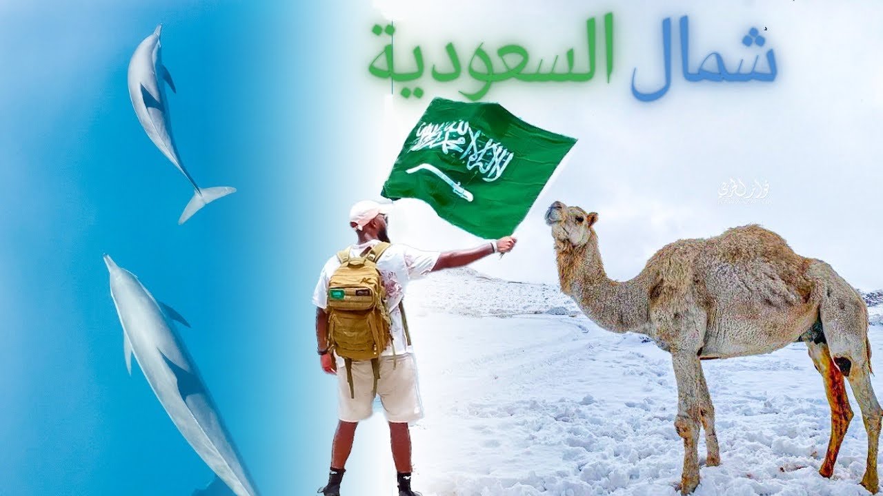 استكشاف شمال السعودية🇸🇦 | اماكن عجيبة!❄️🏝️