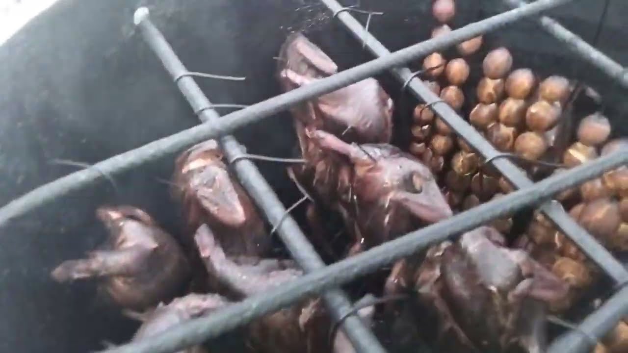 Це треш  - все згоріло - домашне копчення 