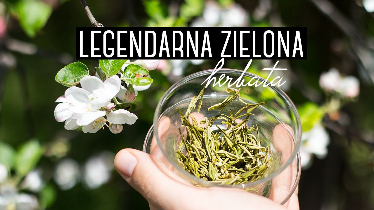 Herbata z l-teaniną. Anji Bai Cha - legendarna zielona herbata o białych liściach. Czajnikowy.pl