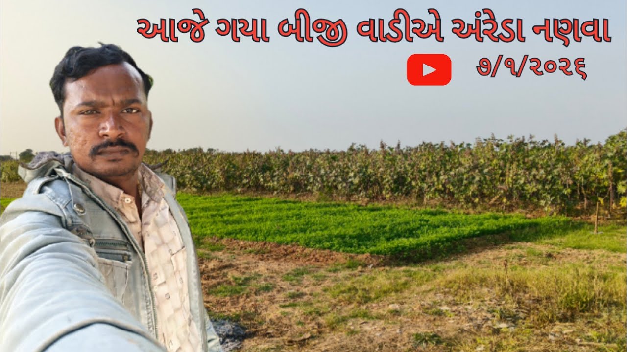 આજે ગયા બીજીવાડીએ અંરેડા નણવા||#funny #comedy #automobile 