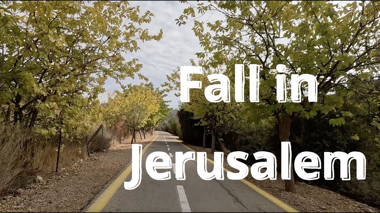 Jerusalem’s Autumn Scenery by Bike. Fall Bike Route
