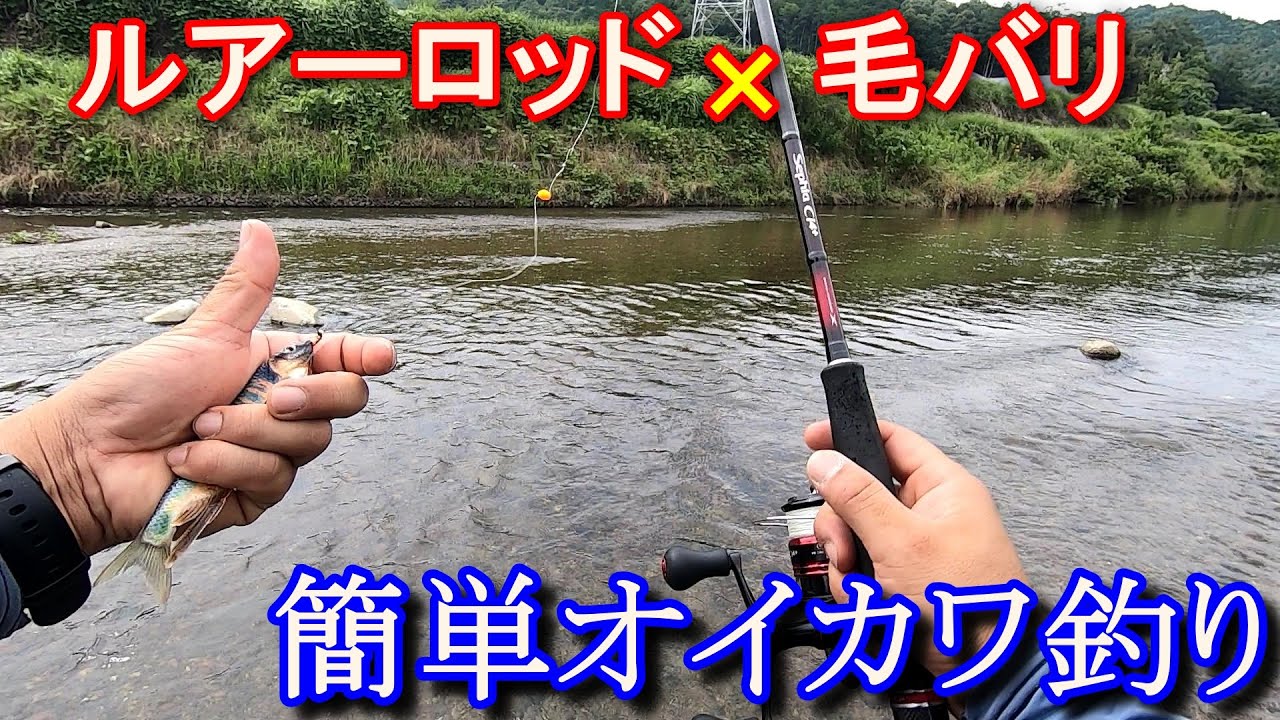 ルアーマンも出来る白ハエ釣り！ちょい投げ毛バリ