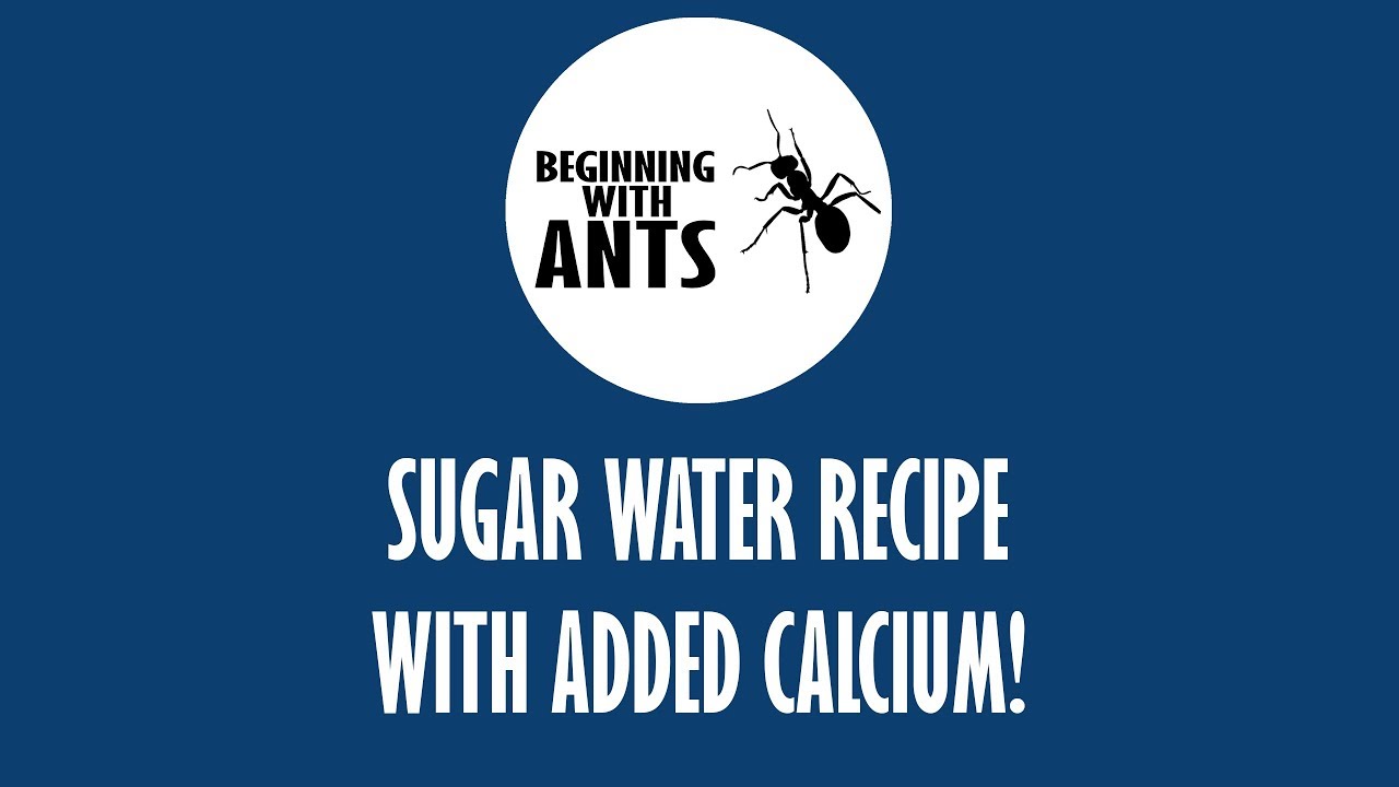DIY Recipe for Sugar Water with Calcium!