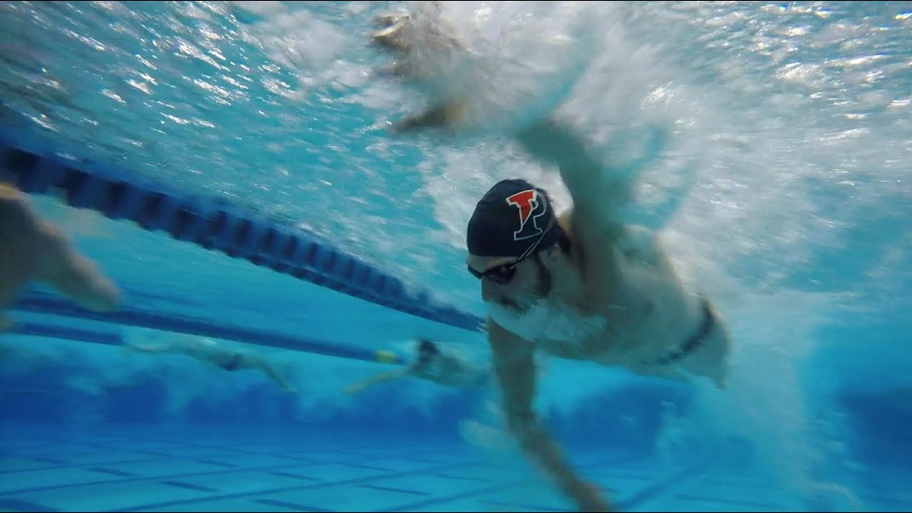 Penn Men's Swimming & Diving Training: Trip 2015 - 2016