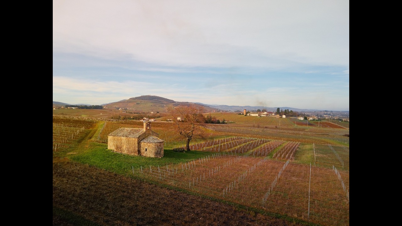 Plongez au coeur des paysages du Beaujolais avec le Château de Monternot