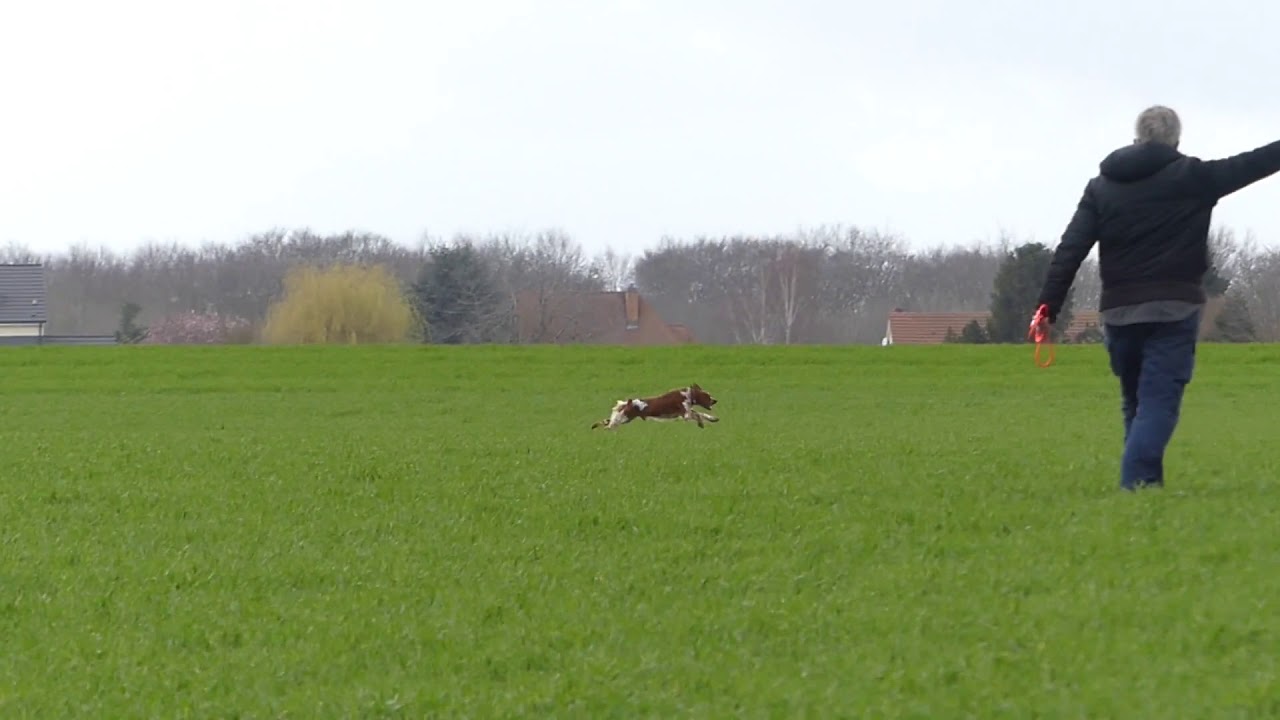 GARCELLES-SECQUEVILLE 14 MARS 2021 BARRAGE OSCAR DES BOIS DE GLAND CACIT