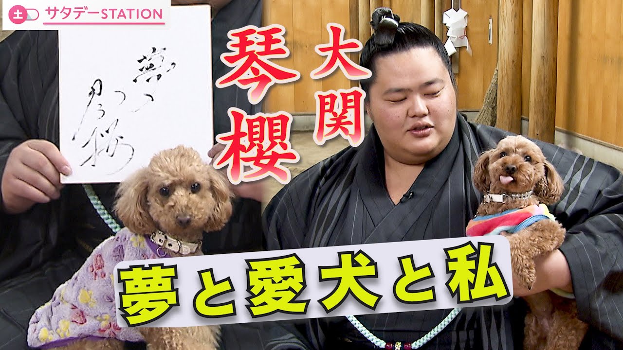 【ほぼノーカット！ / 大関・琴櫻インタビュー】初場所で綱取りに挑む大関・琴櫻を直撃！【サタデーステーション】