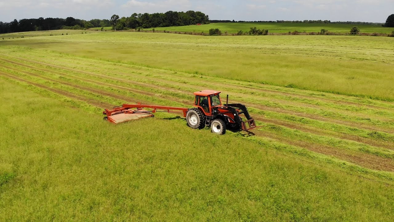 Massey Ferguson 1372 Mowing hay