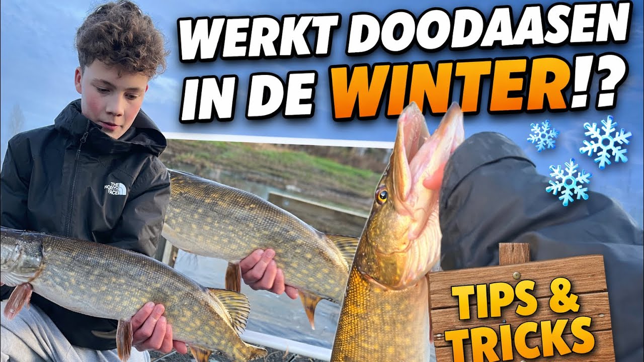 Snoekvissen met doodaas in de winter met tips en uitleg! 