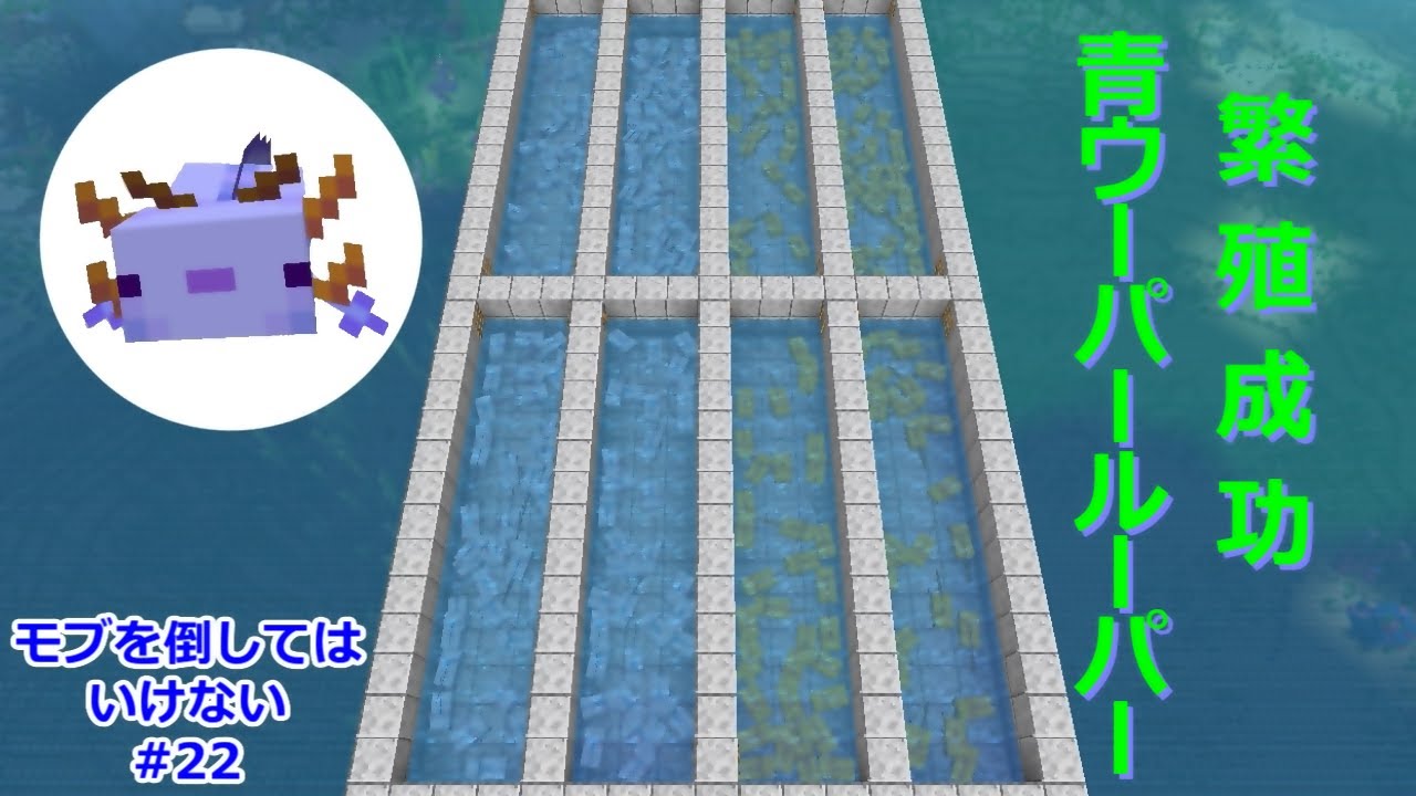 【マイクラ】青ウーパールーパー繁殖成功 / 熱帯魚トラップ～作業厨のモブを倒してはいけないPART22～【ゆっくり実況】