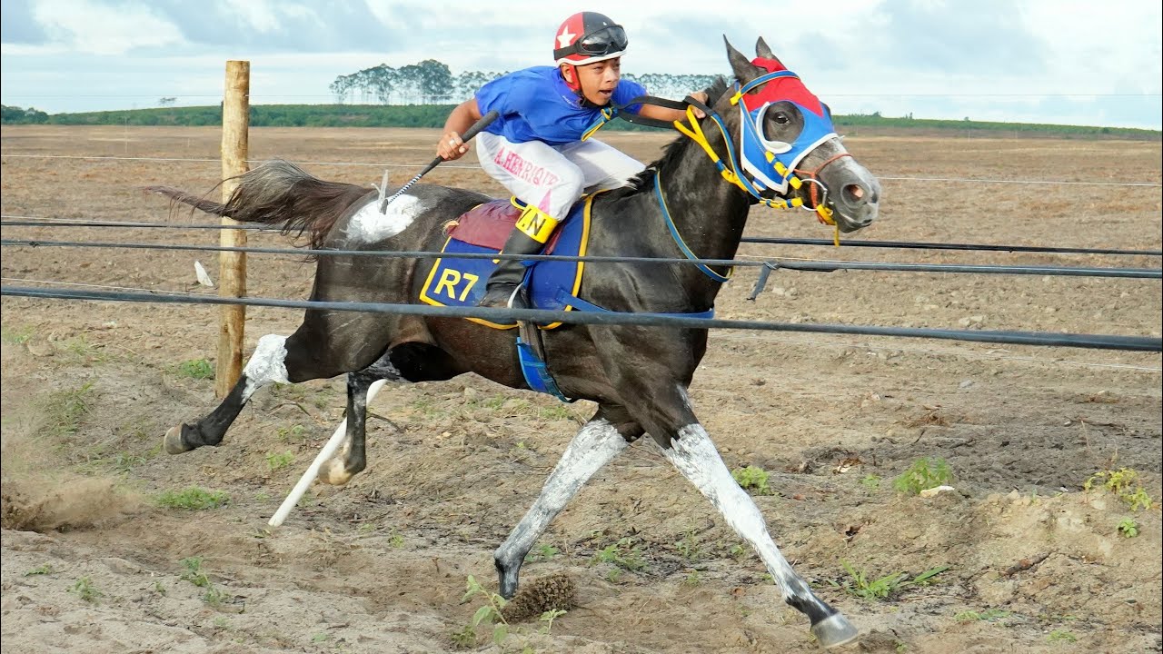Torneio no Prado do Juca Rosa - Corrida de Cavalos