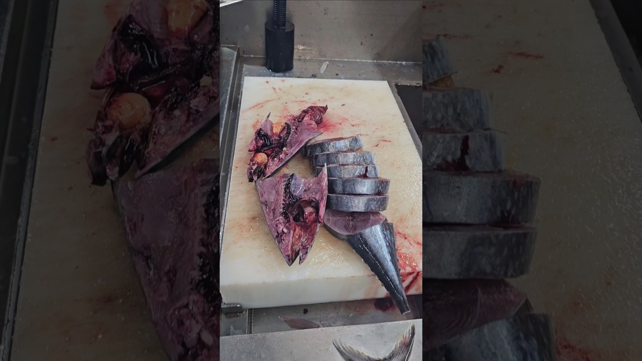 Bluefin Giant Tuna Fish Cutting Skills#shorts