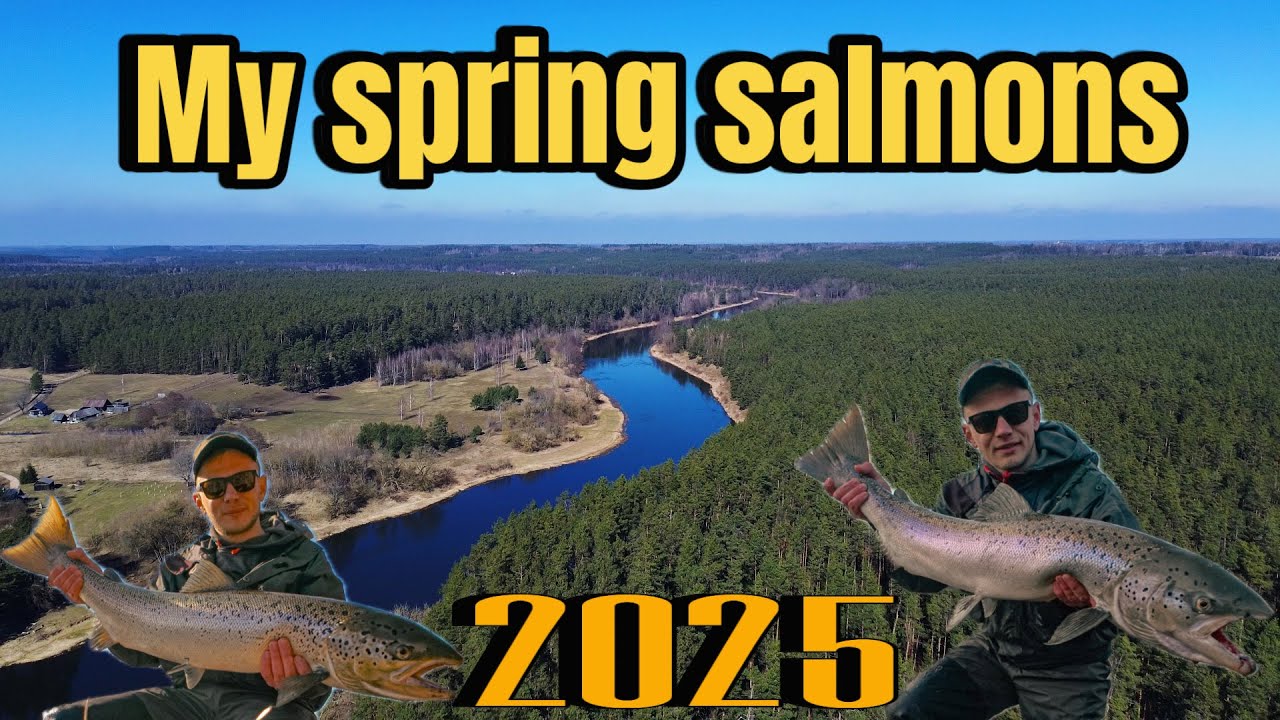 Mano pavasarinės lašišos / My spring salmon's 2025