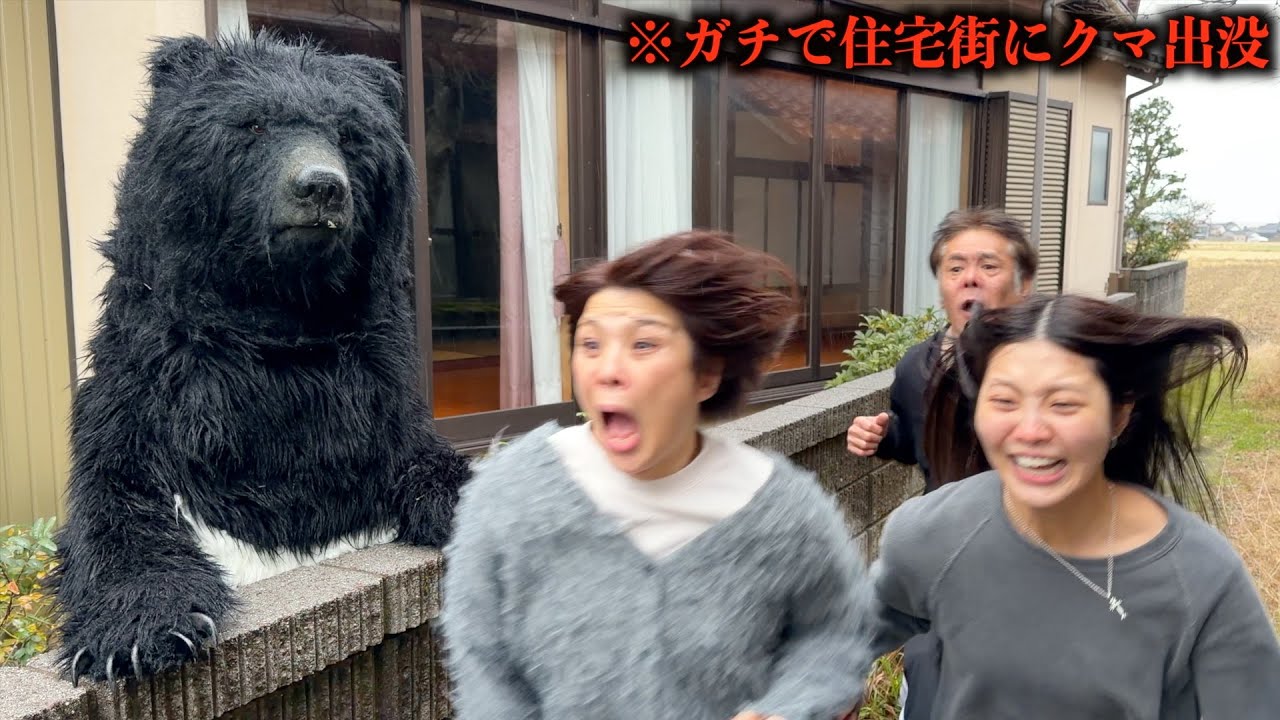 クマが家に出没した  目の前で遭遇…親グマが突然車に“突進”家族が襲われた映像の一部始終