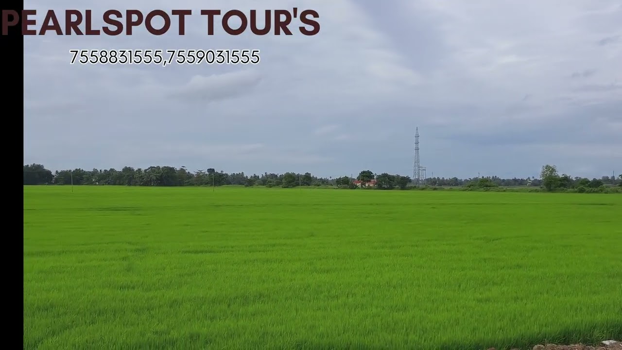 Ac Rode, Paddy Fields, Kuttanad Snaps, Houseboat Booking , Pearlspot Tour's #Houseboat Tour