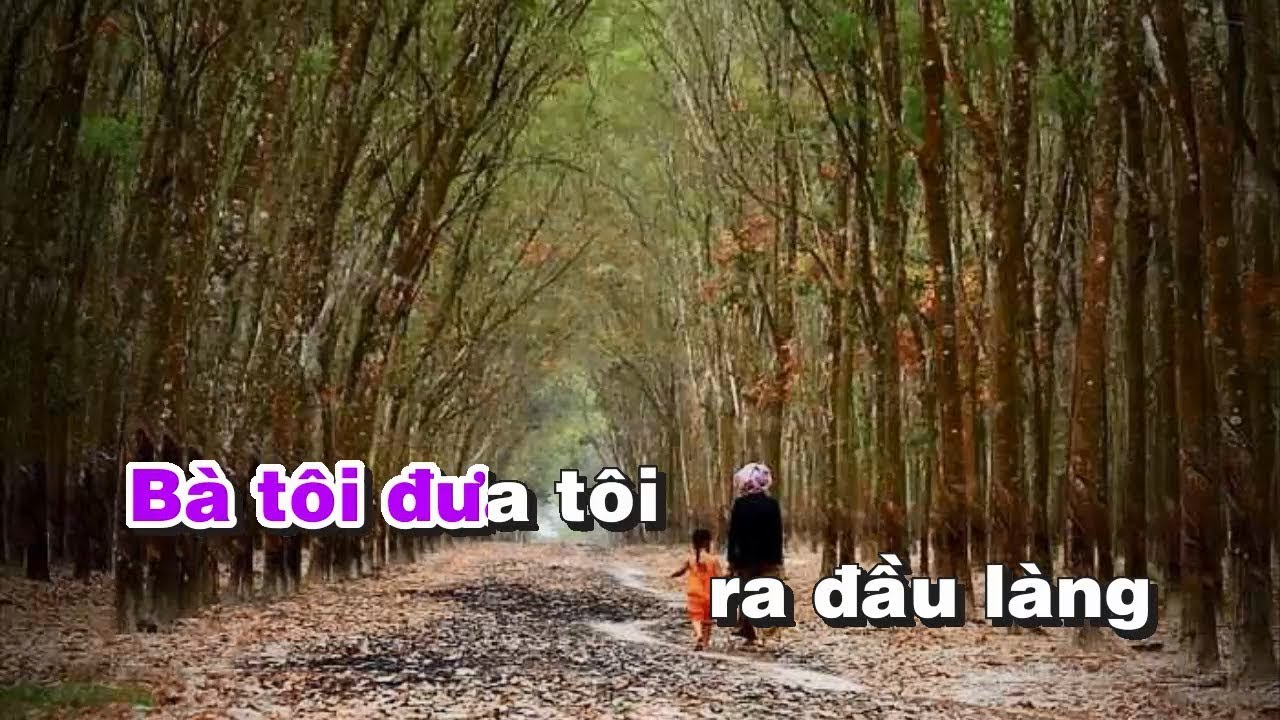 Bà Tôi Karaoke - Sáng tác Nguyễn Vĩnh Tiến