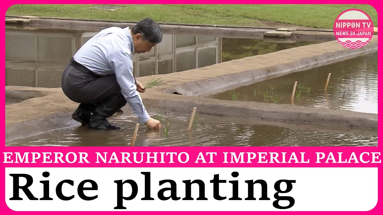 Emperor Naruhito plants rice at Imperial Palace