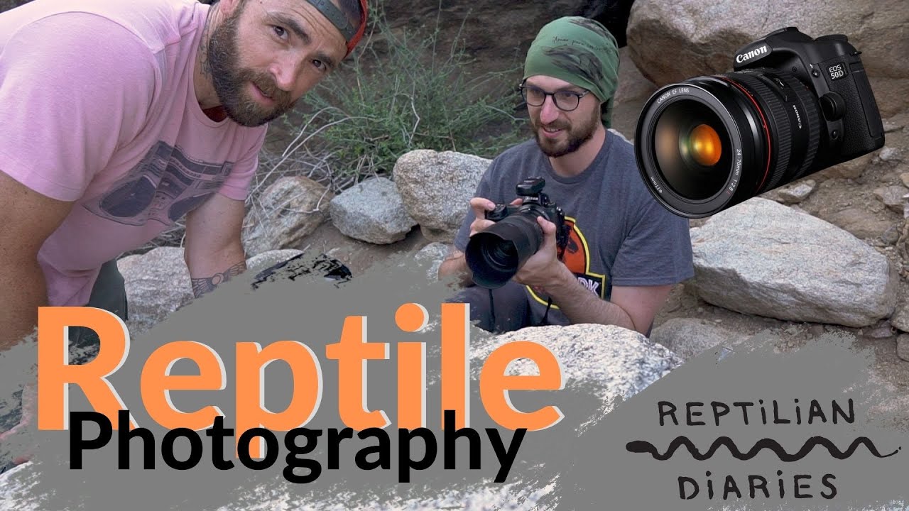 Reptile photography - the kit to shoot it all, and of course herping!