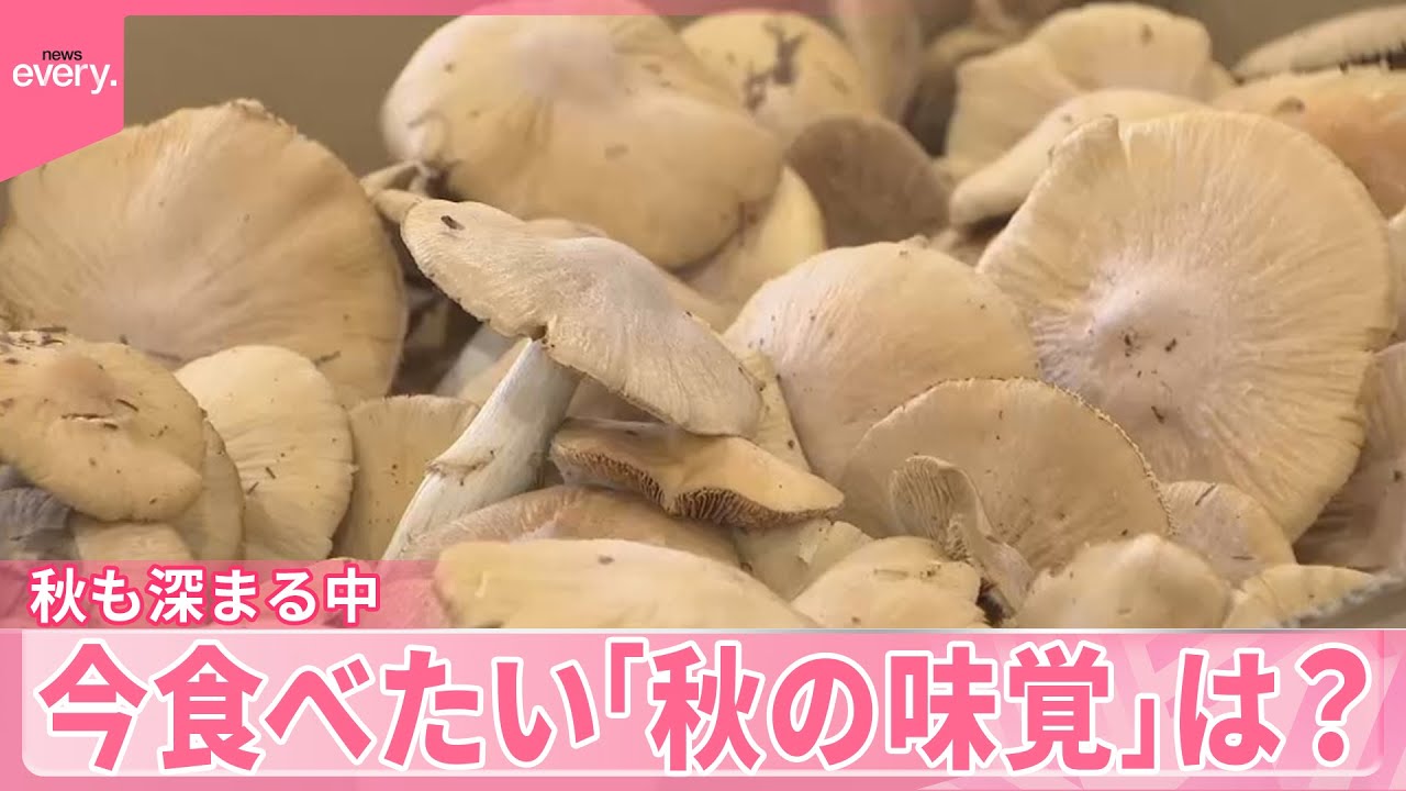 【きょうの1日】天然キノコ、オリーブ  各地で&ldquo;秋の味覚&rdquo;  今食べたい「秋の味覚」は？