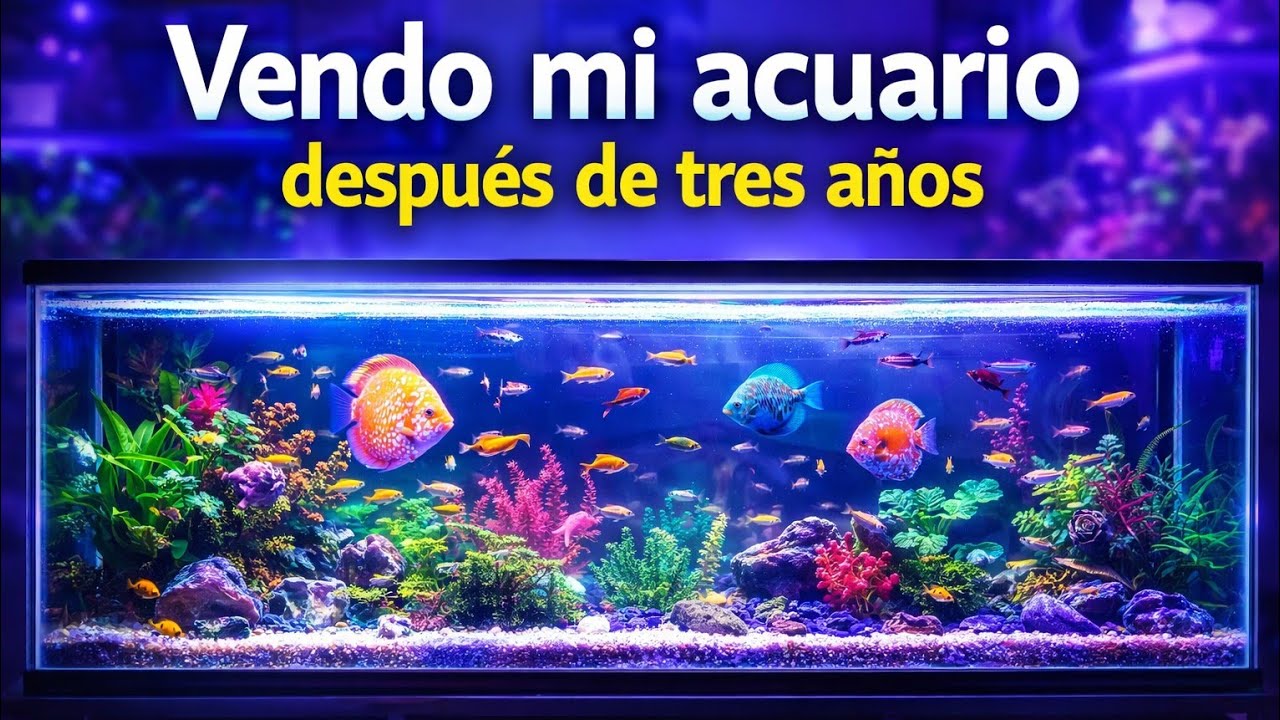 VENDO MI ACUARIO