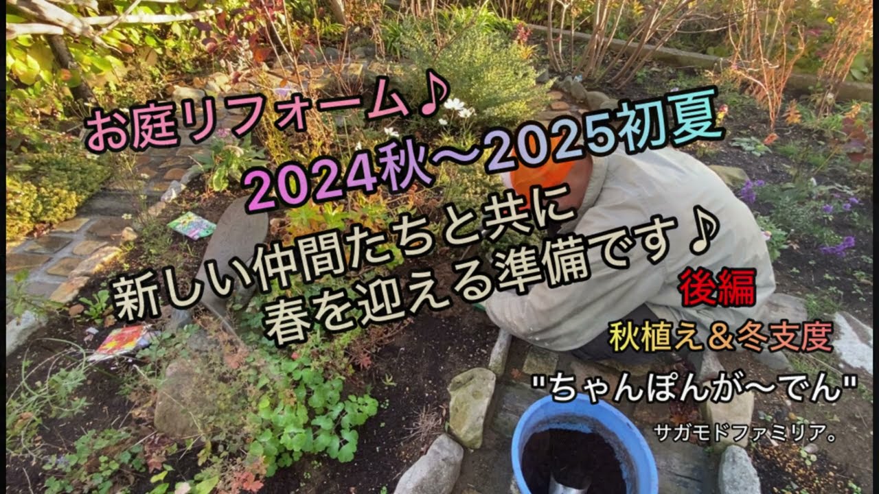 お庭リフォーム♪2024秋〜2025初夏。秋植え&冬支度